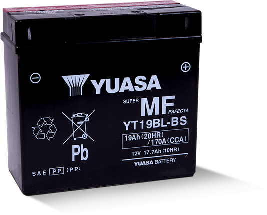 Yuasa YT19BL-BS Maintenance Free AGM 12-Volt Battery w/Bottle