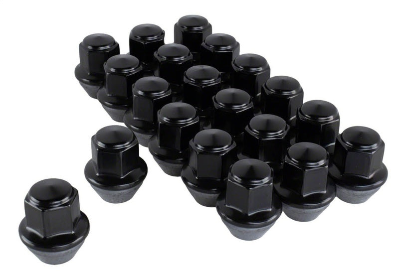 Ford Racing 15-18 Mustang Black Lug Nut Kit (20 Lug Nuts)